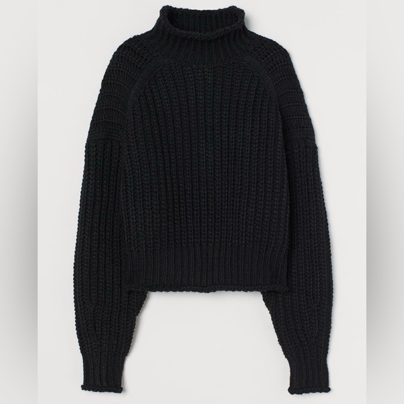 Black H&M Ribbed Turtleneck Sweater - Picture 1 of 5